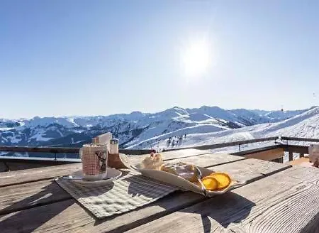 Alpapart Schneider Alpbach