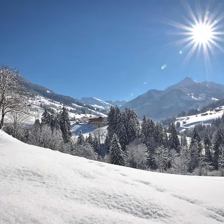 Alpapart Schneider Apartament