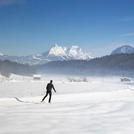 Alpapart Schneider *