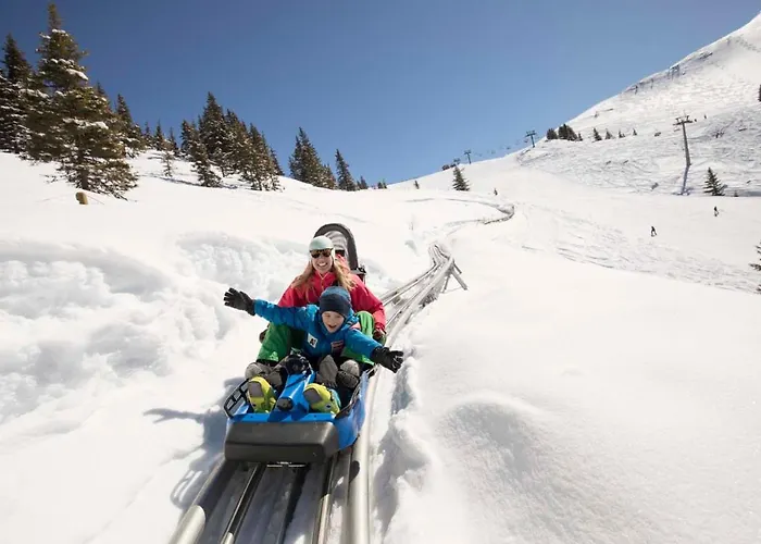 公寓 Alpapart Schneider *