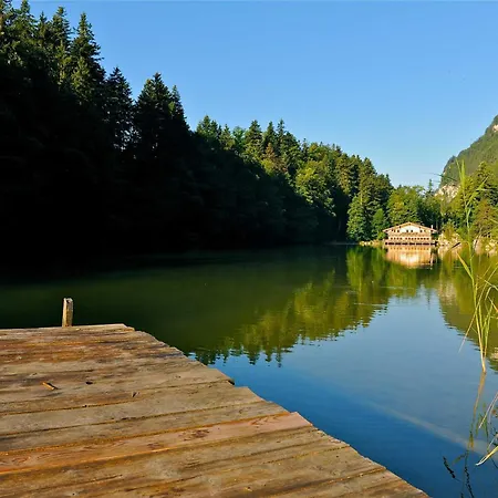 Alpapart Schneider شقة ألباخ