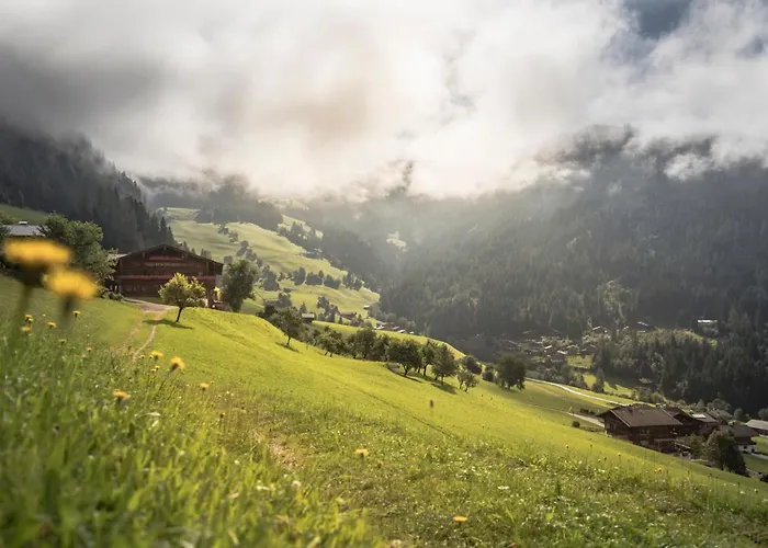 Alpapart Schneider ألباخ