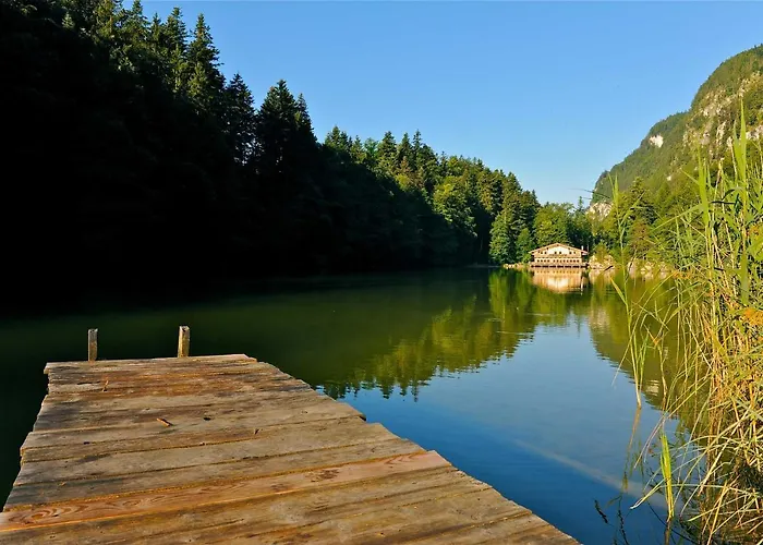 Alpapart Schneider ألباخ