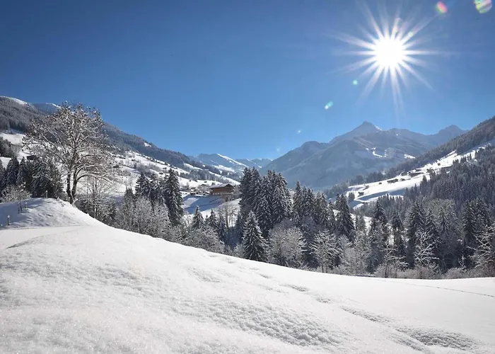 Alpapart Schneider شقة