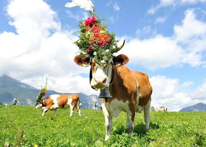 Alpapart Schneider ألباخ