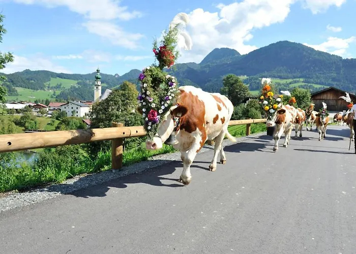 Alpapart Schneider Appartamento *